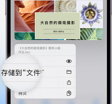 南澳apple维修中心分享iPhone文件应用中存储和找到下载文件