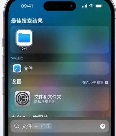 南澳apple维修中心分享iPhone文件应用中存储和找到下载文件 