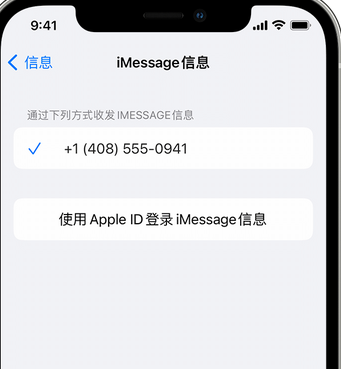 南澳apple维修iPhone上无法正常发送iMessage信息 