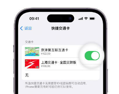 南澳apple维修点分享iPhone上更换Apple Pay快捷交通卡手绘卡面 