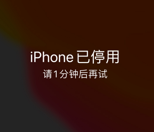 南澳苹果手机维修分享:iPhone 显示“不可用”或“已停用”怎么办？还能保留数据吗？ 