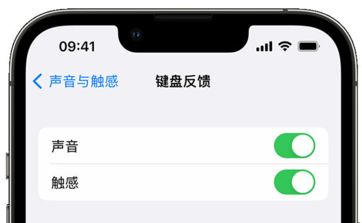 南澳苹果手机维修分享iPhone 14触感键盘使用方法 