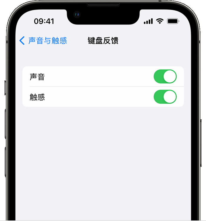 南澳苹果14维修店分享如何在 iPhone 14 机型中使用触感键盘 