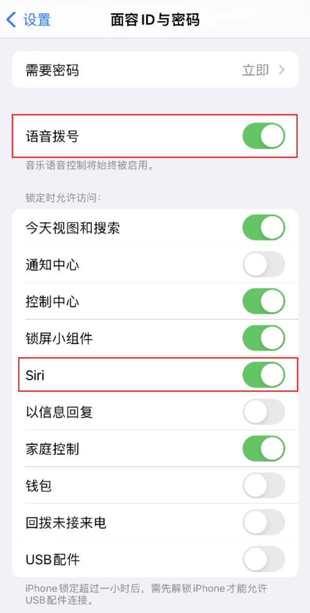 南澳苹果维修网点分享不解锁 iPhone 的情况下通过 Siri 拨打电话的方法 