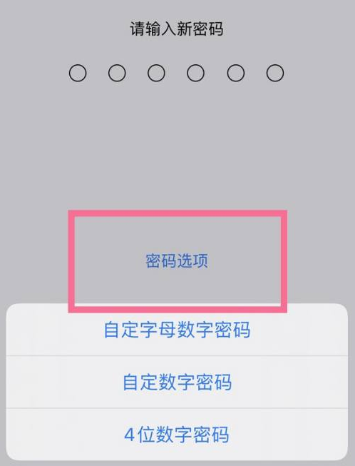 南澳苹果14维修分享iPhone 14plus设置密码的方法 