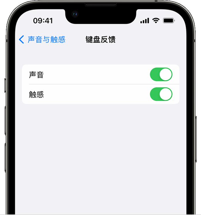 南澳苹果14维修分享iPhone 14 系列机型如何开启键盘声音或触感反馈 