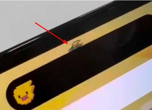 南澳苹果14维修分享iPhone 14 Pro Max灵动岛怎么养宠物 