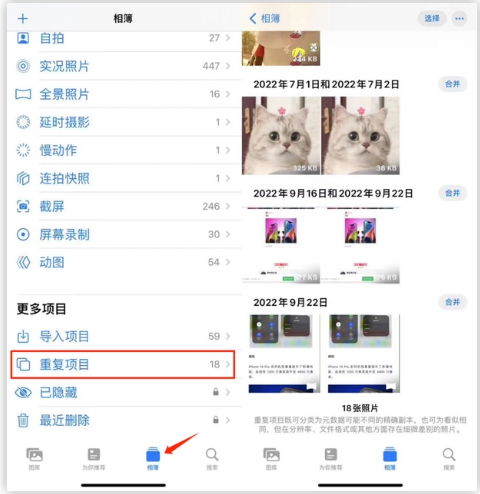 南澳苹果手机维修分享iOS 16 中相册重复项目功能使用方法 