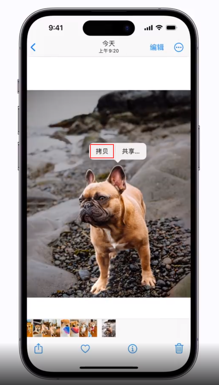 南澳苹果手机维修分享 iOS 16 自带一键抠图功能 