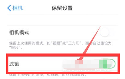 南澳苹果13维修分享iPhone13拍照有绿点是怎么回事 