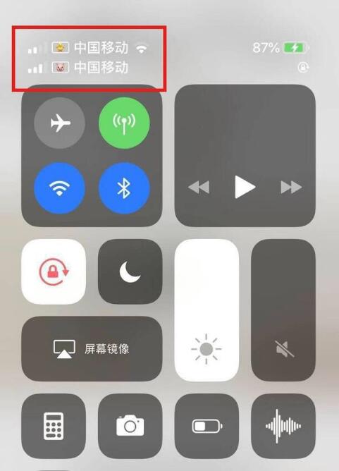 南澳苹果手机维修分享为 iPhone 12 双卡设置标签 